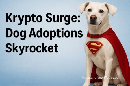 Superman’s dog Krypto inspires real-world adoptions