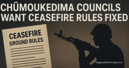 Chümoukedima councils demand ceasefire rule reforms