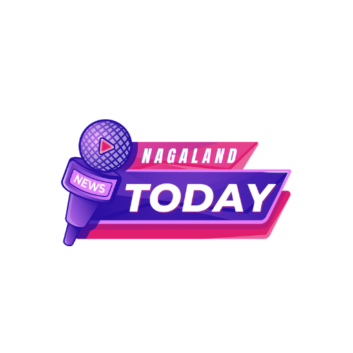 nagalandnewstoday.com logo